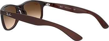 Ray-Ban RB4202 Andy Rectangular Sunglasses Matte Brown-Brown Gradient/55 Millimeters