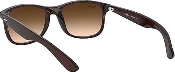 Ray-Ban RB4202 Andy Rectangular Sunglasses Matte Brown-Brown Gradient/55 Millimeters