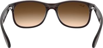 Ray-Ban RB4202 Andy Rectangular Sunglasses Matte Brown-Brown Gradient/55 Millimeters