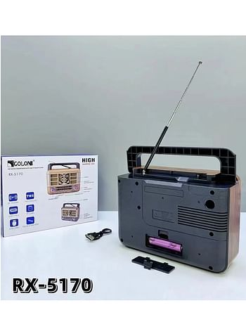 Wooden Retro style Radio RX-5170, portable rechargeable desktop wooden TWS FM AM SW BAND RADIO Speaker