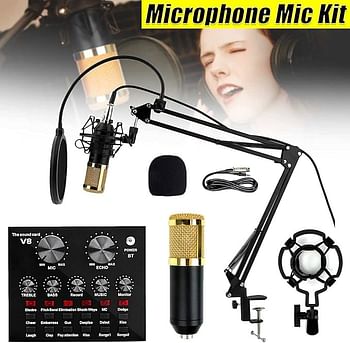 V8 Live Sound Card Microphone Set With Rechargeable 12 Kinds Of Auxiliary Background Sound K Song Singing Equipment With Bluetooth Connection