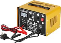 Anesty Car Battery Charger, 12V/24V 20A 20Amp Heavy Duty Battery Charger, Ideal for Various Vehicle Cars Vans Tractors Lead-acid Batteries