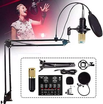 V8 Live Sound Card Microphone Set With Rechargeable 12 Kinds Of Auxiliary Background Sound K Song Singing Equipment With Bluetooth Connection