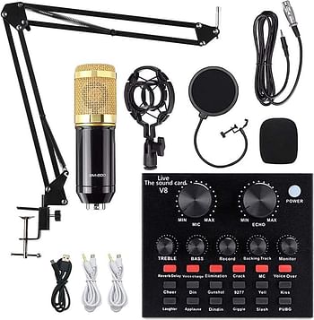 V8 Live Sound Card Microphone Set With Rechargeable 12 Kinds Of Auxiliary Background Sound K Song Singing Equipment With Bluetooth Connection