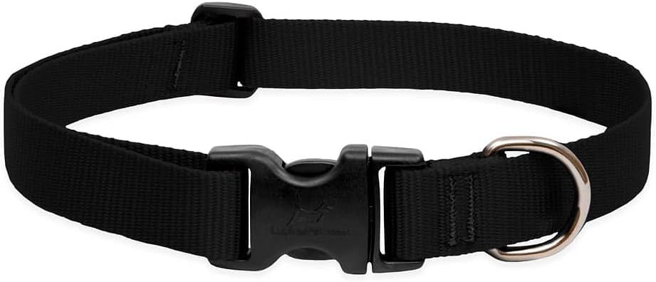 LupinePet Lupine Dog Collar 16-28 1 Inch - Black