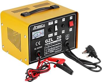 Anesty Car Battery Charger, 12V/24V 20A 20Amp Heavy Duty Battery Charger, Ideal for Various Vehicle Cars Vans Tractors Lead-acid Batteries