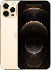 Apple iPhone 12 Pro Max  ( 256GB ) - Gold