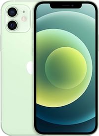 هاتف ابل ايفون 12 الجديد (ذاكرة داخلية 256 جيجا) - لون أخضر