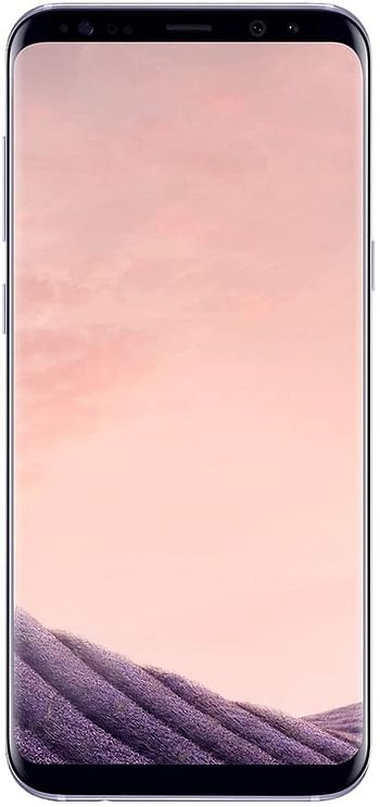 Samsung Galaxy S8 Dual Sim - 64GB, 4G LTE, Orchid Gray