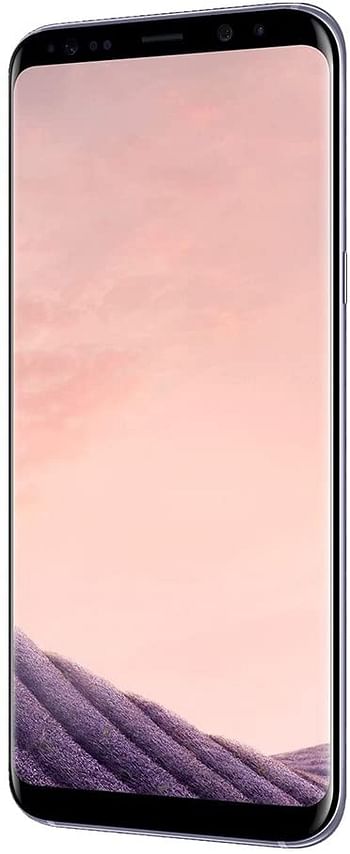 Samsung Galaxy S8 Dual Sim - 64GB, 4G LTE, Orchid Gray