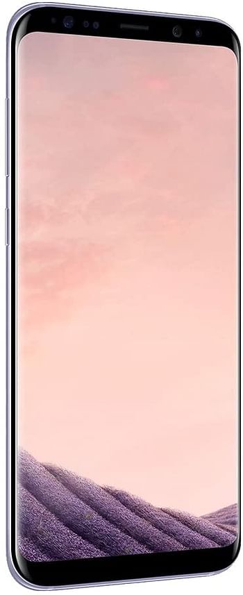 Samsung Galaxy S8 Dual Sim - 64GB, 4G LTE, Orchid Gray