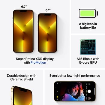 Apple iPhone 13 Pro  1TB - Gold