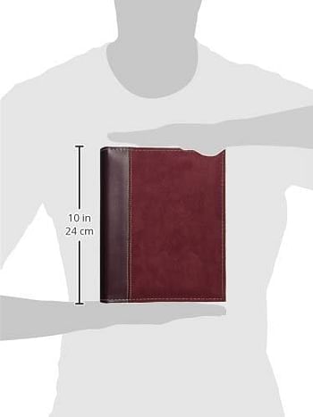 Pioneer SU-246/BG Photo Albums 208 Pocket Sewn Faux Suede and Leatherette Cover Album for 4 by 6-Inch Prints, Dark Red