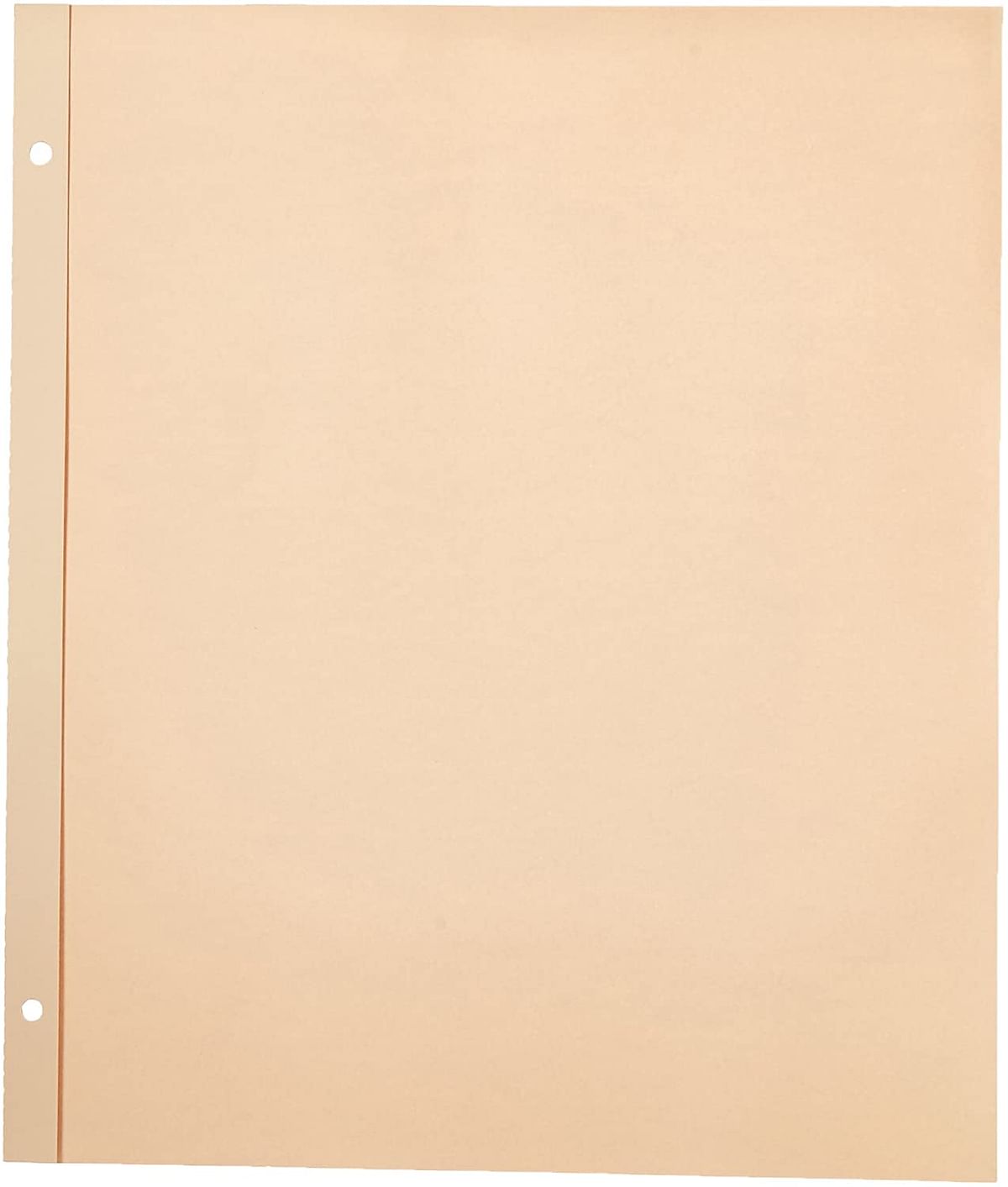 Pioneer SJ-50R 11-Inch-by-14-Inch, Postbound Refill Pages, 25 Per Package