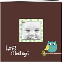 Pioneer Baby Owl Printed Design Post Bound Scrapbook Album 12"X12"-Brown
