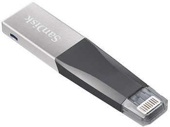 SanDisk 256GB Ixpand Mini Flash Drive - SDIX40N-256G-GN6NE