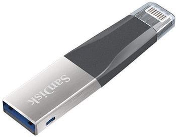 SanDisk 256GB Ixpand Mini Flash Drive - SDIX40N-256G-GN6NE