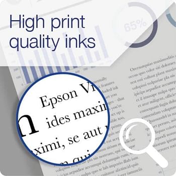 Epson 101 EcoTank Ink Bottle, Black Ink for Printer- Refill, 70ml