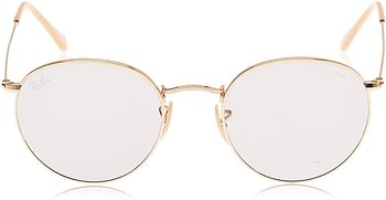 Ray-Ban Rb3447 Evolve Metal Everglasses Round Sunglasses Gold Grey Photochromic/50 Millimeters