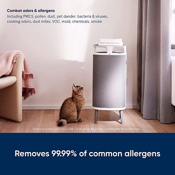 Blueair Air Purifier - DustMagnet DM-5210i Cleans Upto 1017 sqft, 232 m³/h CADR, AQI, HEPASilent Technology Removes 99.97% Pollen, Dust, Mould, Bacteria, Viruses, VOCs, Odours