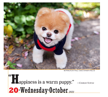 2021 365 Dogs Colour Page-a-Day Calendar