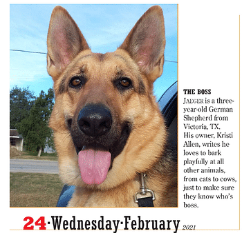 2021 365 Dogs Colour Page-a-Day Calendar