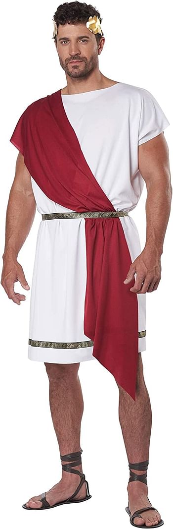 Adult Party Toga Costume, Multi, L/XL