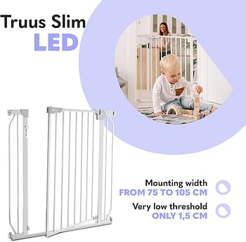 Lionelo Truus Grey Baby Gate With Double Locking System,Extra Wide, Stairs Secure.