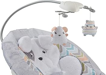 Fisher-Price Sweet Snugapuppy Deluxe Bouncer Gwd50