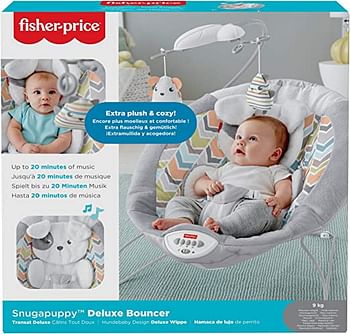 Fisher-Price Sweet Snugapuppy Deluxe Bouncer Gwd50
