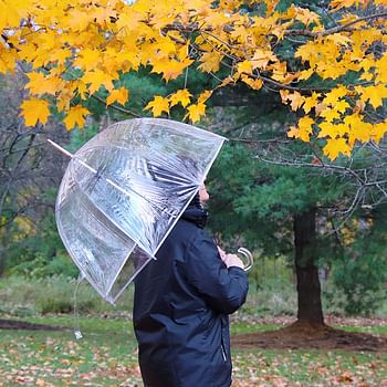 totes Signature Clear Bubble Umbrella