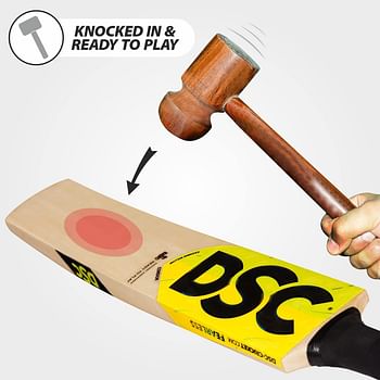 Dsc Condor Flicker Kashmir Willow Cricket Bat (Size: 6, Ball_ Type : Leather Ball, Playing Style : All-Round)