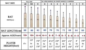 Sg Hi- Score Xtreme Grade 5 English Willow -Cricket Bat (Size: Youth,Leather Ball)