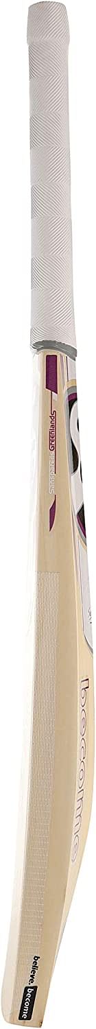 Sg Hi- Score Xtreme Grade 5 English Willow -Cricket Bat (Size: Youth,Leather Ball)