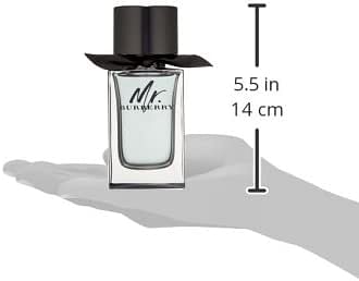 Burberry Mr. Eau de Toilette For Men, 100ml