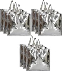 Fun Homes Reusable Small Size Grocery Bag Shopping Bag with Handle, Non-woven Gift Bag Goodies Bag Silver Tote Bag-Pack of 9 (Silver)