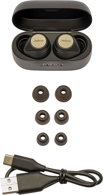 Jabra 75t Active True Wireless Earbuds Titanium Black