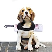 OHANA Halloween Props Machete Harness for Pets, Cats, Dogs, Rabbit Costumes SMALL, Black, Pet Props, OPH-019