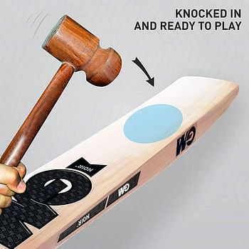 GM Noir Excalibur English Willow Professional Cricket Bat for Men and Boys | Free cover | Ready to Play | Lightweight | Short Handle