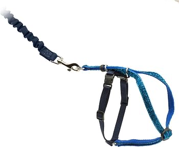 PetSafe Come With Me Kitty Glitter Harness and Bungee Cat Leash, Medium