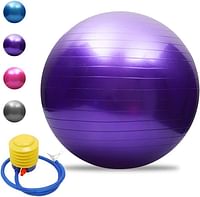 Lixada Exercise Ball Yoga Ball Anti-Burst Thickened Stability Balance Ball Pilates Barre Physical Fitness Exercise Ball 45CM / 55CM / 65CM / 75CM Gift Air Pump