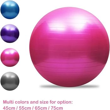 Lixada Exercise Ball Yoga Ball Anti-Burst Thickened Stability Balance Ball Pilates Barre Physical Fitness Exercise Ball 45CM / 55CM / 65CM / 75CM Gift Air Pump