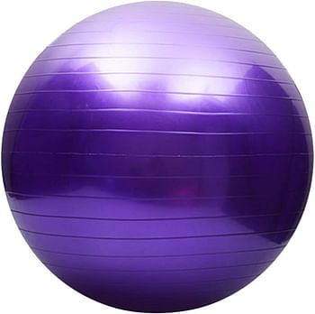 Lixada Exercise Ball Yoga Ball Anti-Burst Thickened Stability Balance Ball Pilates Barre Physical Fitness Exercise Ball 45CM / 55CM / 65CM / 75CM Gift Air Pump