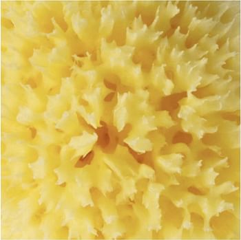 Bellini Babù Honeycomb Sea Sponge 100% Natural Size-(12), Yellow