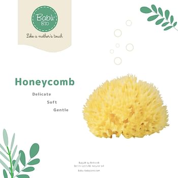 Bellini Babù Honeycomb Sea Sponge Yellow Size-(18) Piece Of One