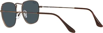 Ray-Ban mens 0RB3857 Sunglasses