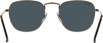 Ray-Ban mens 0RB3857 Sunglasses