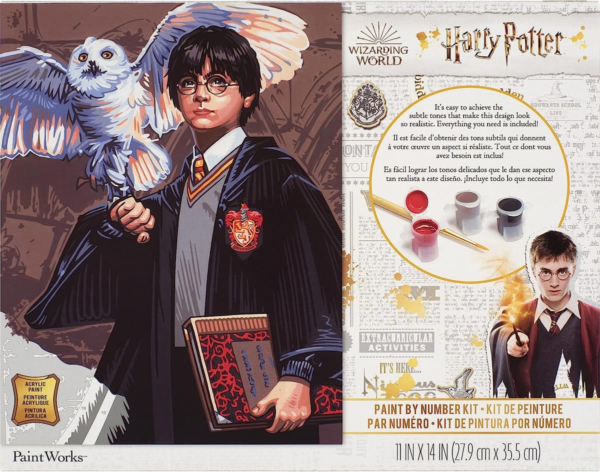 Dimensions PaintWorks Hedwig and Harry Potter Paint by Number Kit for ...