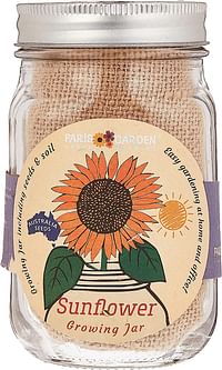 Paris Garden Mason Jar Sun Flower Growing Kit, Transparent
