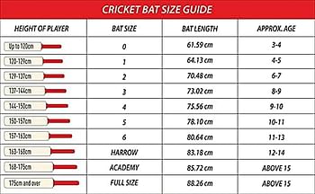 DSC Condor Pro Grade 1 English Willow Cricket Bat